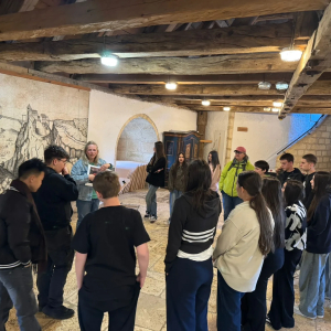 8d26be64-78e0-4b49-8849-b0051f074968